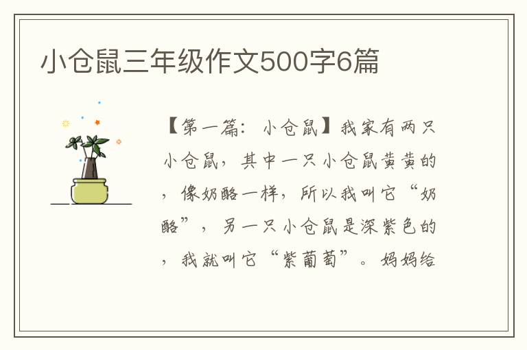 小仓鼠三年级作文500字6篇