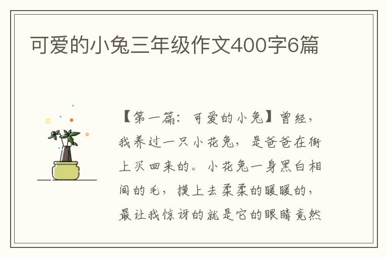 可爱的小兔三年级作文400字6篇