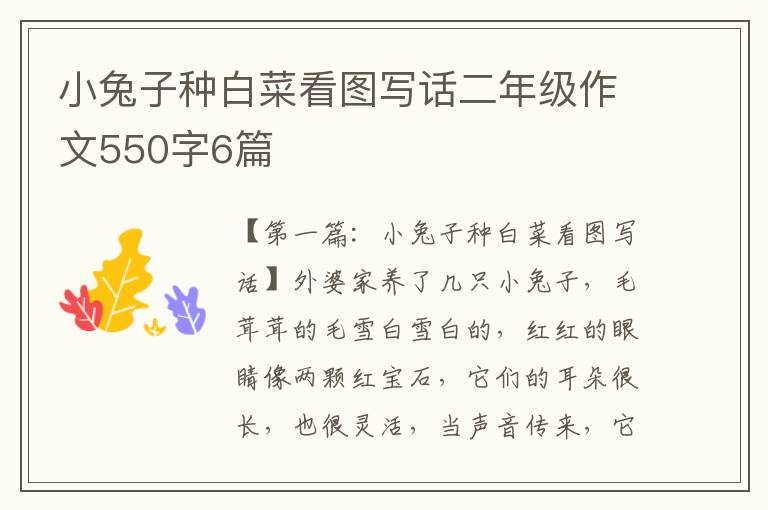 小兔子种白菜看图写话二年级作文550字6篇