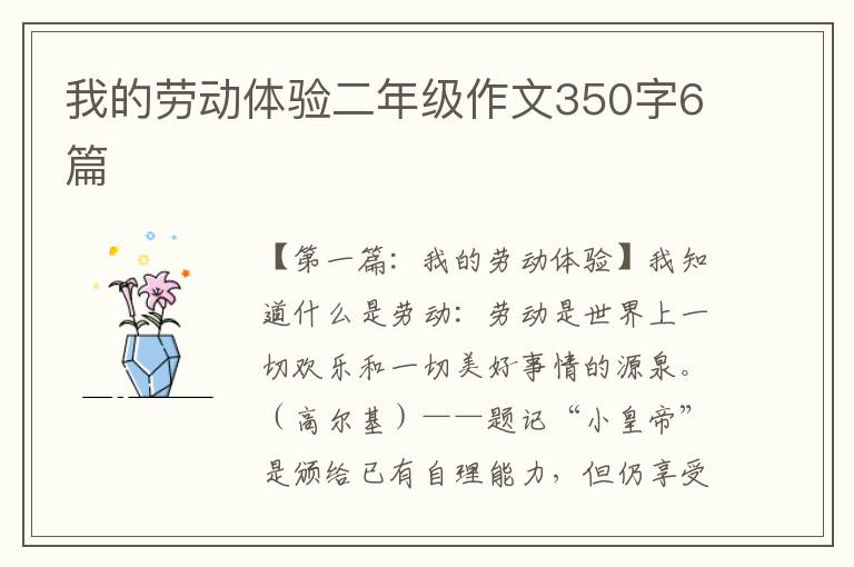 我的劳动体验二年级作文350字6篇