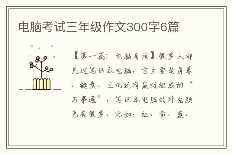 电脑考试三年级作文300字6篇