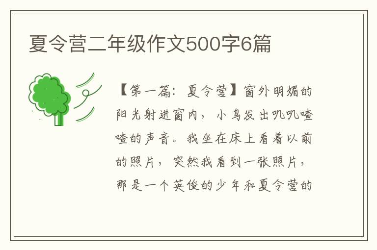 夏令营二年级作文500字6篇