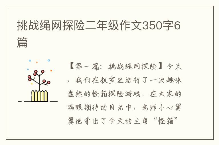 挑战绳网探险二年级作文350字6篇