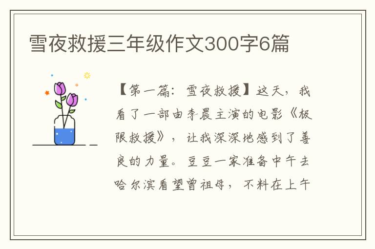 雪夜救援三年级作文300字6篇