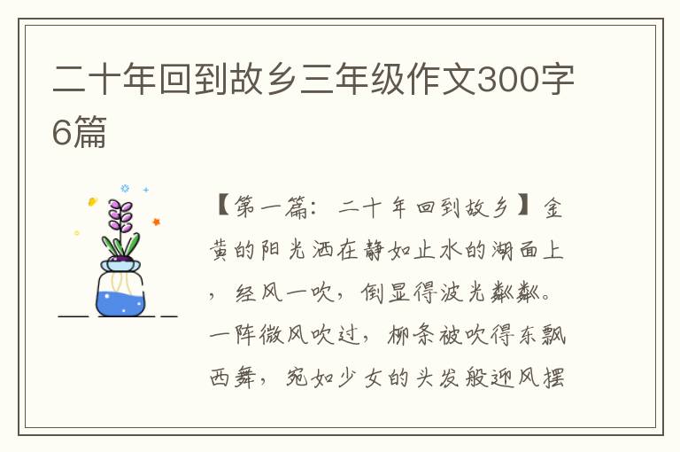 二十年回到故乡三年级作文300字6篇