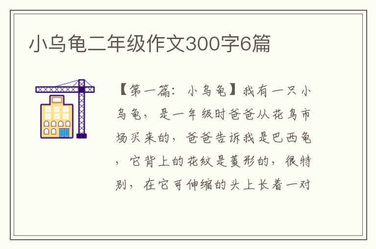 小乌龟二年级作文300字6篇