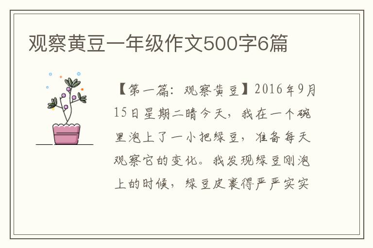 观察黄豆一年级作文500字6篇