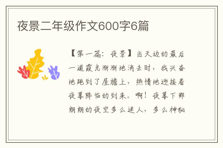 夜景二年级作文600字6篇