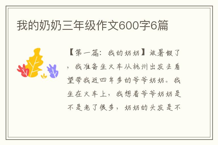 我的奶奶三年级作文600字6篇