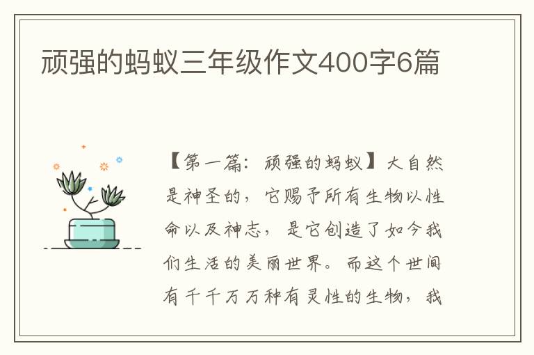 顽强的蚂蚁三年级作文400字6篇