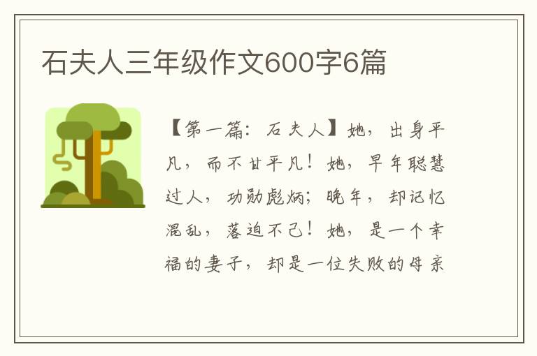 石夫人三年级作文600字6篇