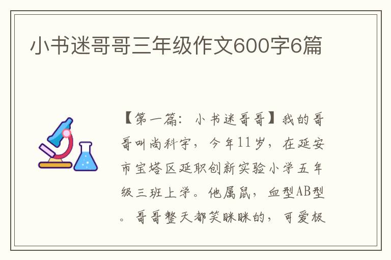 小书迷哥哥三年级作文600字6篇