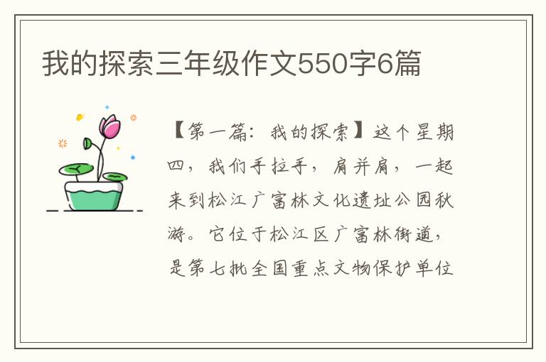 我的探索三年级作文550字6篇