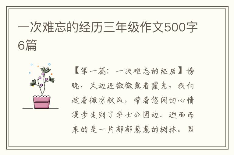 一次难忘的经历三年级作文500字6篇