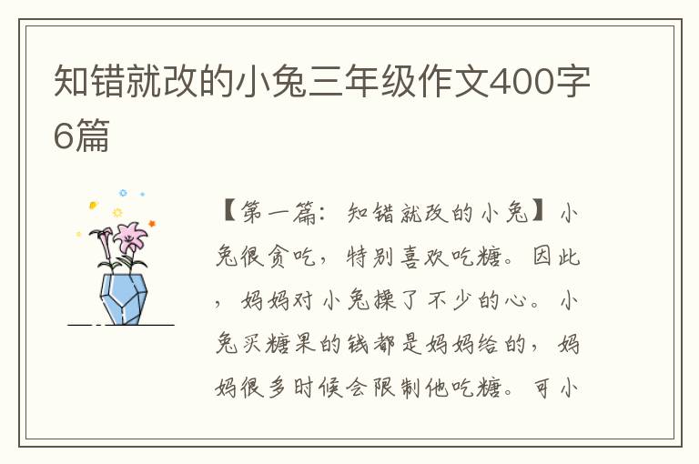 知错就改的小兔三年级作文400字6篇