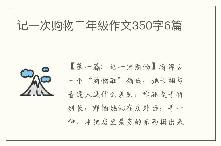 记一次购物二年级作文350字6篇