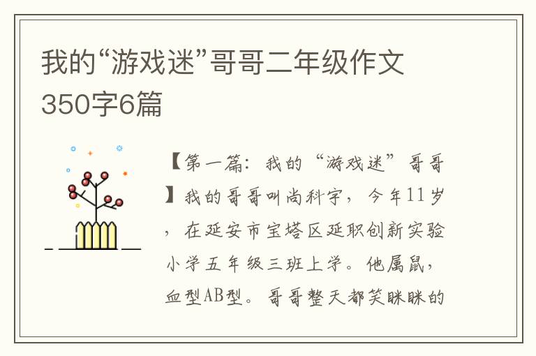 我的“游戏迷”哥哥二年级作文350字6篇