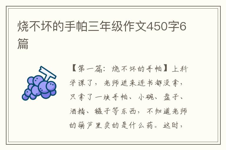 烧不坏的手帕三年级作文450字6篇