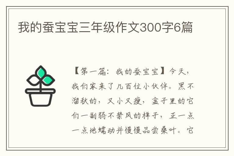 我的蚕宝宝三年级作文300字6篇