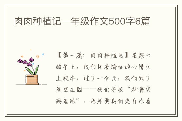 肉肉种植记一年级作文500字6篇