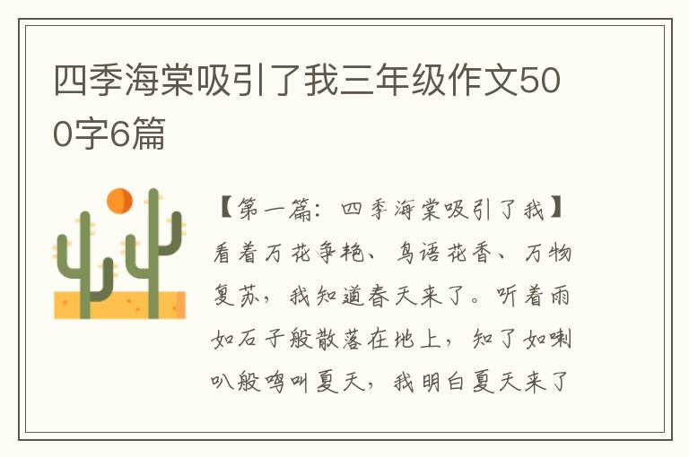 四季海棠吸引了我三年级作文500字6篇