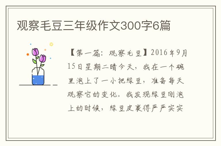 观察毛豆三年级作文300字6篇