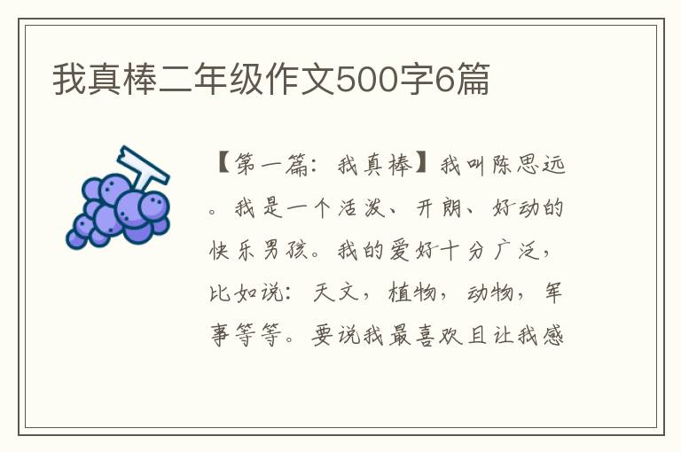 我真棒二年级作文500字6篇