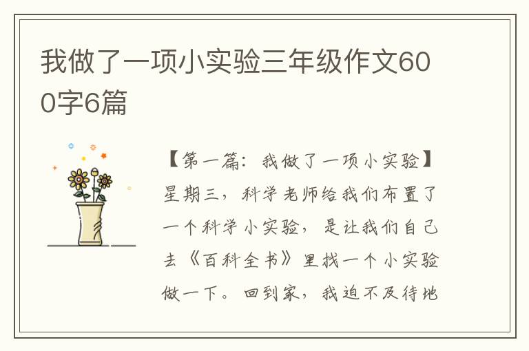 我做了一项小实验三年级作文600字6篇