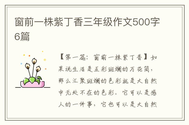 窗前一株紫丁香三年级作文500字6篇