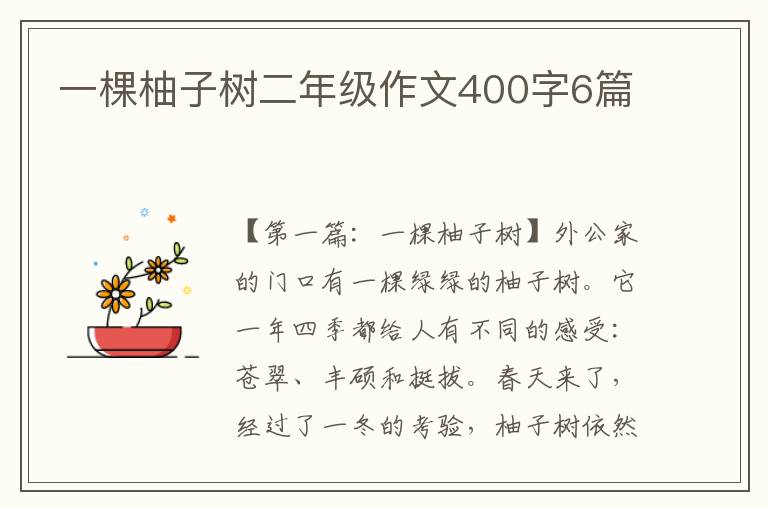 一棵柚子树二年级作文400字6篇