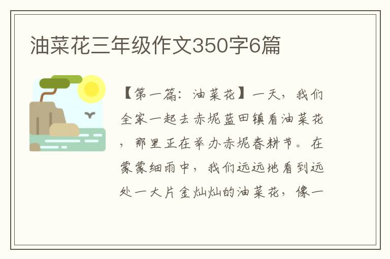 油菜花三年级作文350字6篇