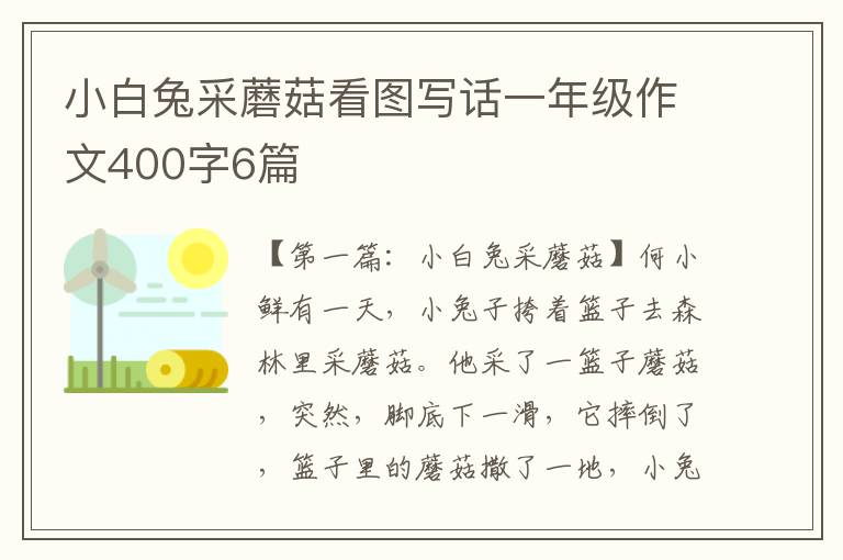 小白兔采蘑菇看图写话一年级作文400字6篇