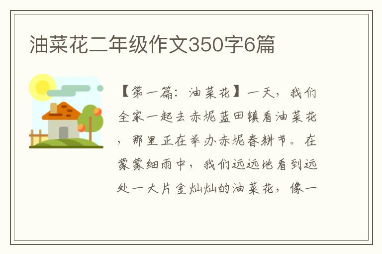 油菜花二年级作文350字6篇