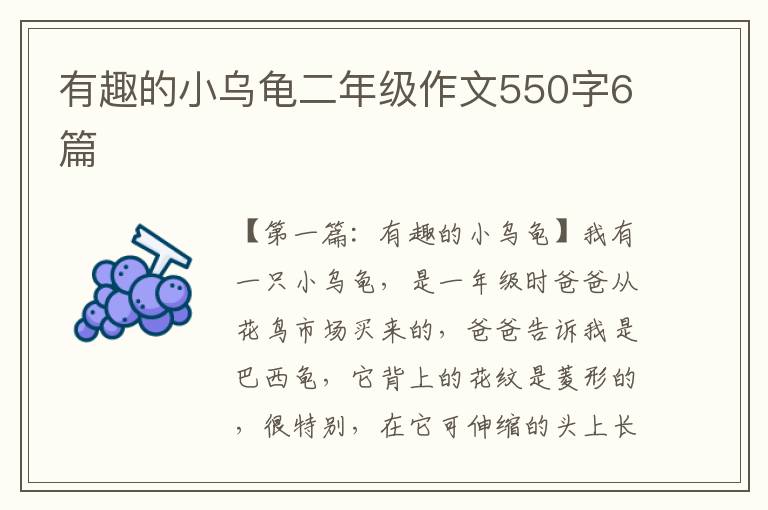 有趣的小乌龟二年级作文550字6篇