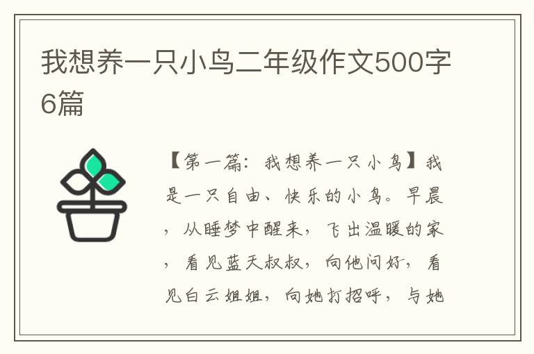 我想养一只小鸟二年级作文500字6篇