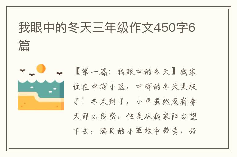 我眼中的冬天三年级作文450字6篇