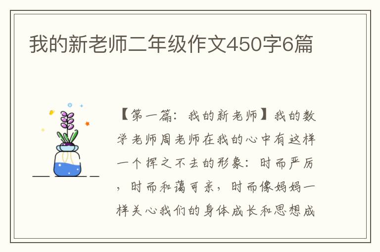 我的新老师二年级作文450字6篇