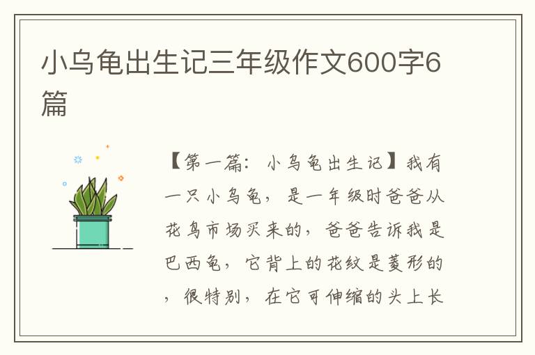 小乌龟出生记三年级作文600字6篇