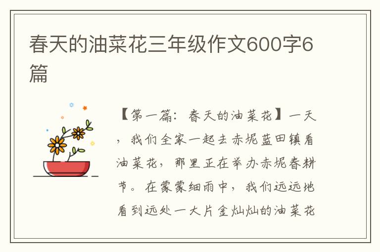 春天的油菜花三年级作文600字6篇