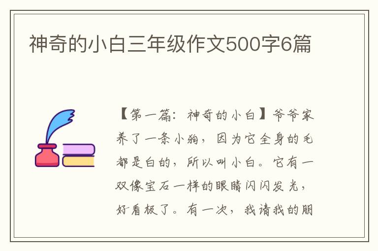 神奇的小白三年级作文500字6篇