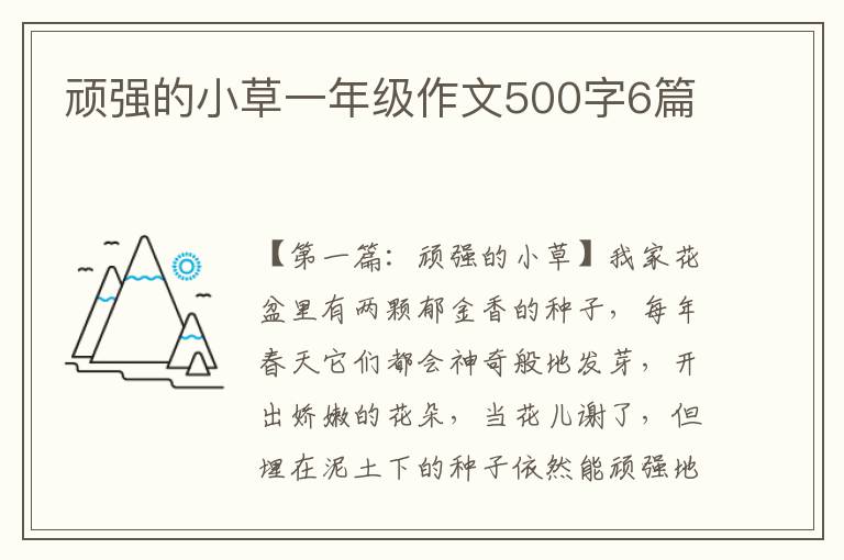 顽强的小草一年级作文500字6篇