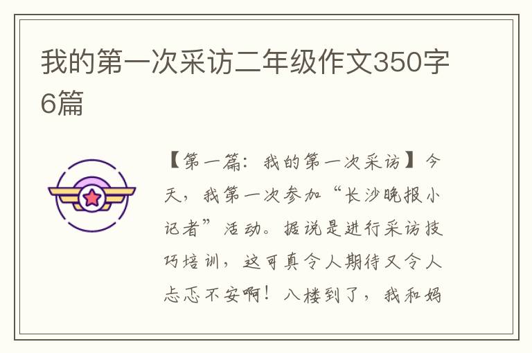 我的第一次采访二年级作文350字6篇