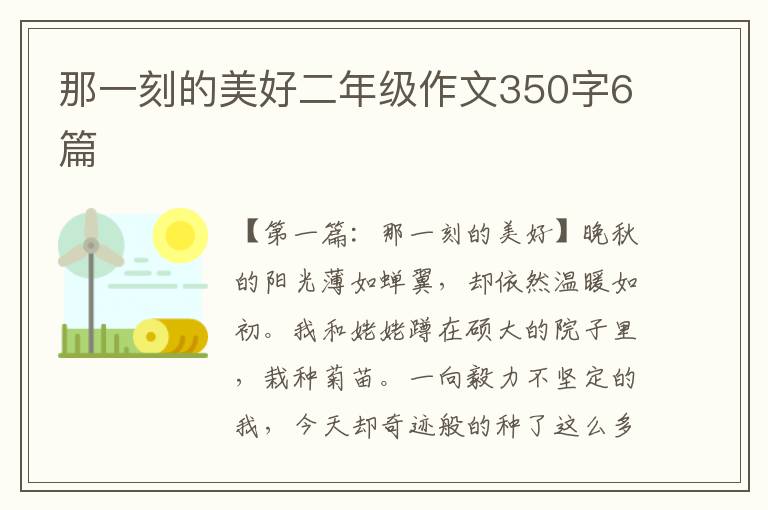 那一刻的美好二年级作文350字6篇