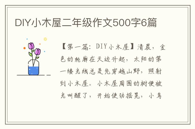 DIY小木屋二年级作文500字6篇