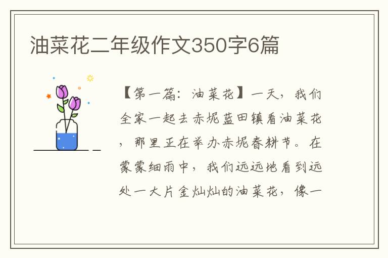 油菜花二年级作文350字6篇