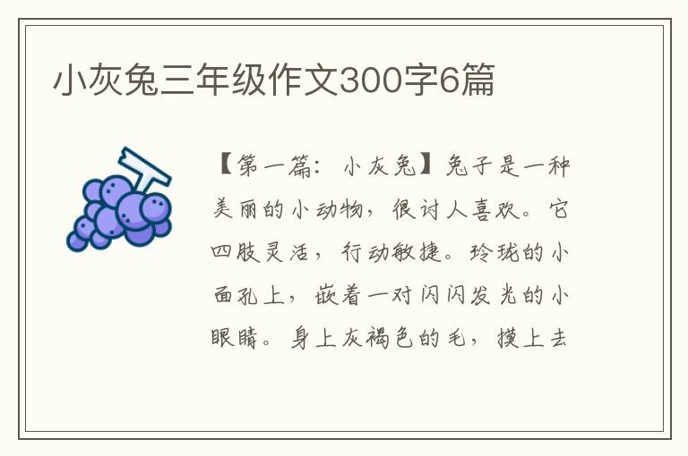 小灰兔三年级作文300字6篇