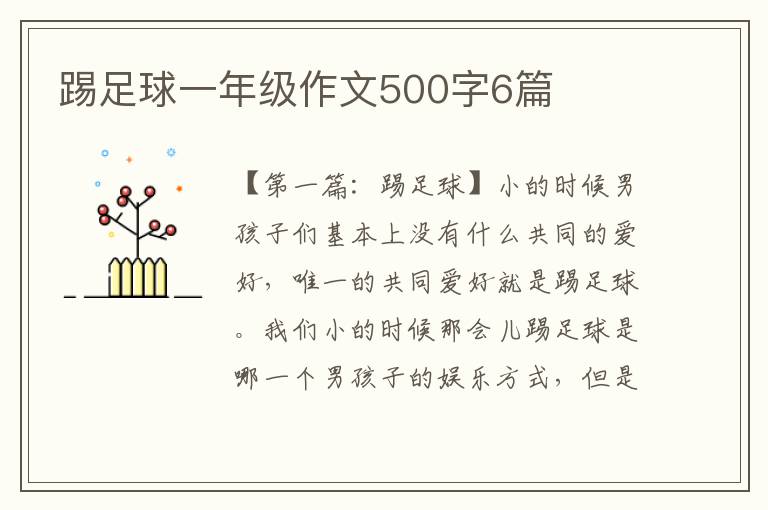 踢足球一年级作文500字6篇