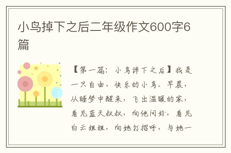 小鸟掉下之后二年级作文600字6篇