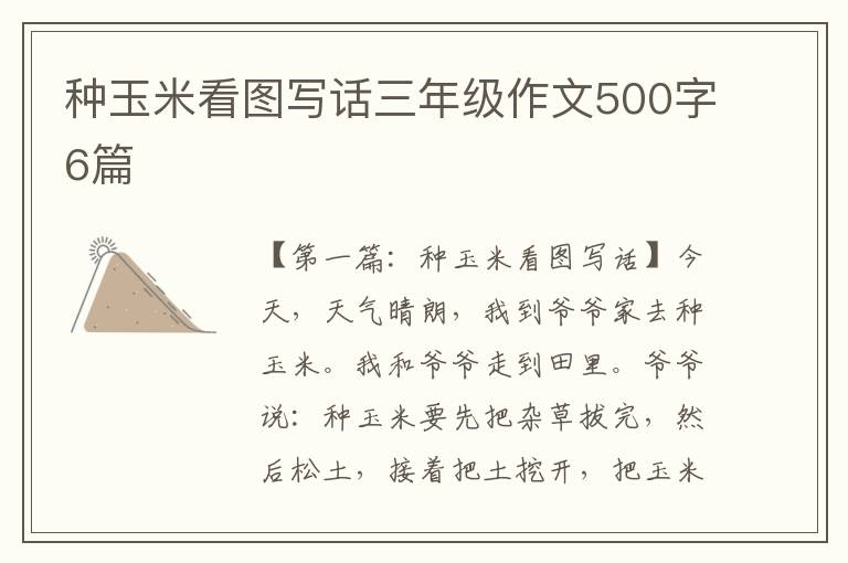 种玉米看图写话三年级作文500字6篇