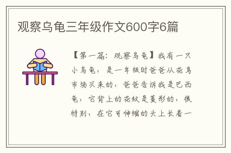 观察乌龟三年级作文600字6篇